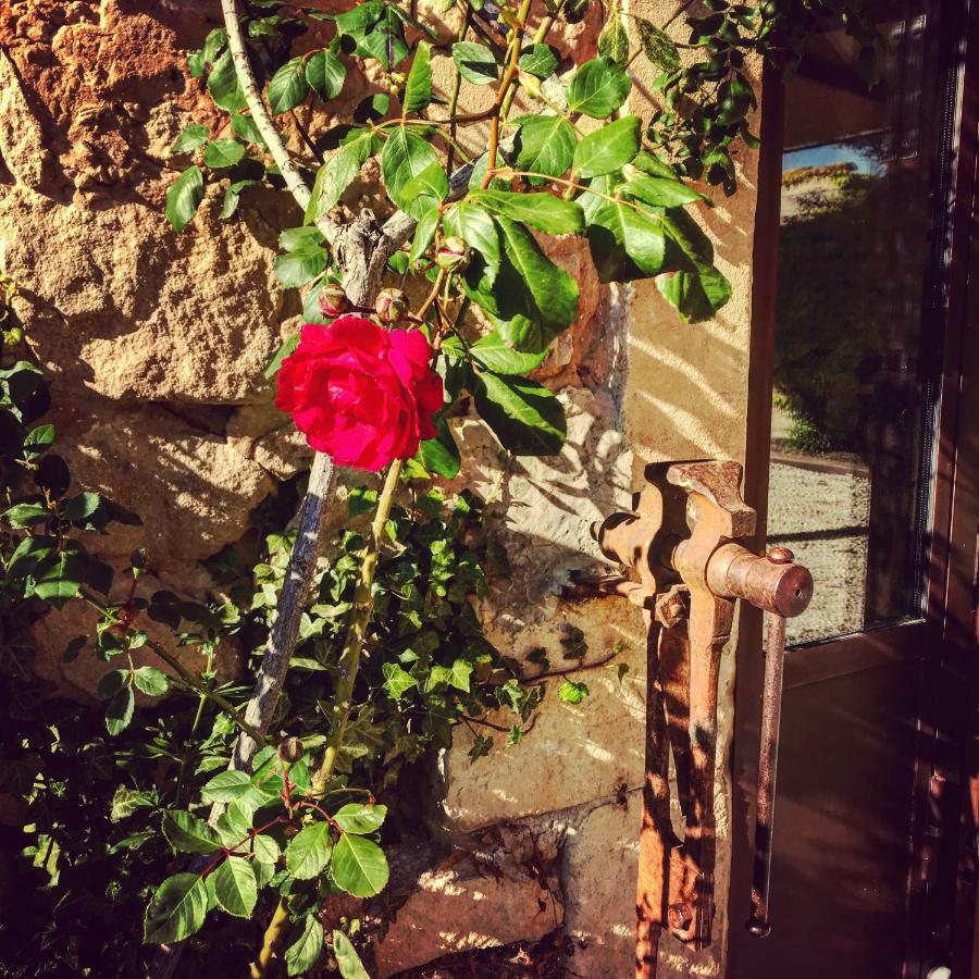 Oppède Le Clos D'Olea מראה חיצוני תמונה